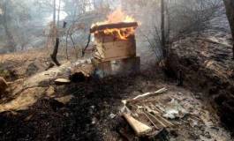 Incendies de forêts : qui a intérêt à entretenir l'écran de fumée ? (II)