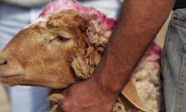 Une histoire d'amitié (II)