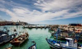 Pêche sauvage et pollution : les ressources halieutiques algériennes sérieusement menacées
