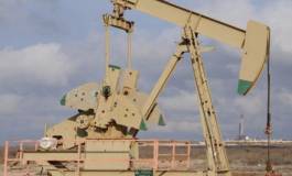 Le baril de pétrole clôture à 45,96 dollars à New York