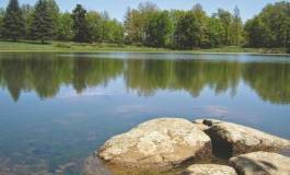 La forêt d'Akfadou ou l'urgence d'un projet de développement durable