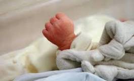 Toulouse: Ils appellent leur bébé "Jihad", la mairie saisit la justice!