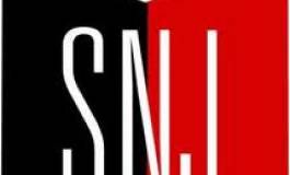 Le SNJ dénonce l'agression d'un journaliste par un joueur