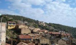 Akfadou : les chemins qui remontent l’histoire