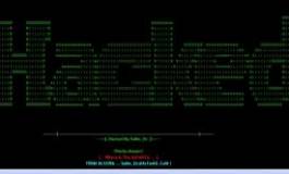 Un jeune hacker algérien sème la panique dans les préfectures françaises