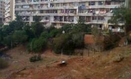 Cité Bois-des-Pins (Alger) : aux origines du conflit