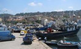 Algérie : la vérité de la bouche d’un fou