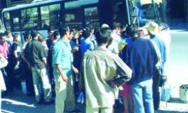 Transports urbains à Oran : la galère des usagers
