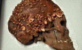 Le scientifique Alain Froment souhaite la restitution des crânes de héros algériens