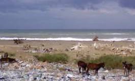 Pour quand des unités de recyclage ?