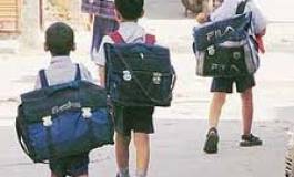 L’école : programme light pour cervelle light