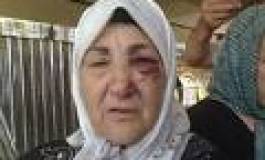 Les habitants de la cité Bois-des-Pins (Hydra) s’organisent