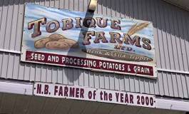 Pomme de terre infectée en Algérie, un Canadien arrêté au Liban