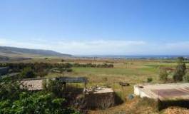 La mafia du foncier agricole sévit sans crainte à Oran