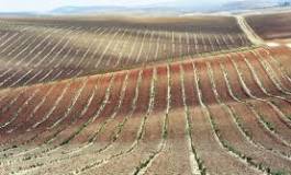 Une enquête sur le détournement du foncier lancée à Oran