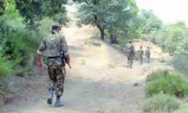 Boumerdès : 2 terroristes éliminés