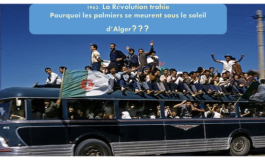 L’armée et la politique Par Mohamed Abassa