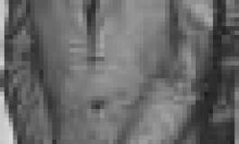 Débat  : A propos de la citation de Ben M’hidi