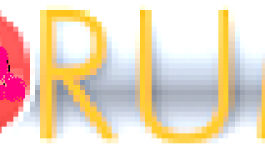 Lematindz lance Forum Free Algerie, un nouveau site de débats, demain 1er novembre