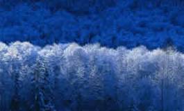 La chronique de Michel Rogalski : Copenhague, et après ?