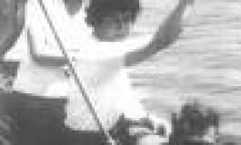 Naissance d'une association des «pieds-noirs progressistes» anti-nostalgérique