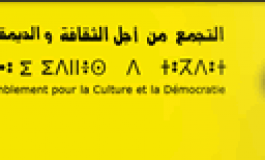 Lettre d'un militant du RCD