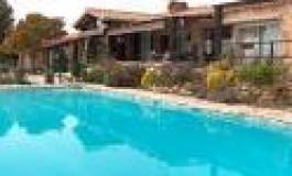 Quand Ghoul indispose les siens