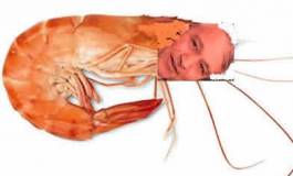 Chakib Khelil : crevette ou gros poisson ? ( PARTIE 2 : L'AMI)