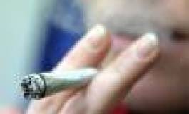 Algérie : La drogue alarme le gouvernement  alors que 15 tonnes de résine de cannabis ont été saisies