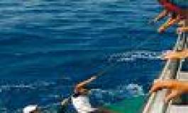 Algérie: malgré les mesures pénales, les harraga plus nombreux en 2008