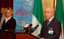 Réunion d'Alger-UPM : la "majorité écrasante" des pays demandent "plus d'éclaircissements"