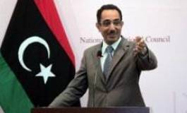 Projecteur sur le sursaut de la question amazighe