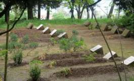 Moines de Tibhirine : les juges français en quête de témoins algériens