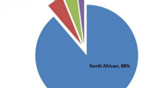 La génétique a tranché : des pays arabes pas si Arabes, l’ADN Nord-Africain présent sur quatre continents