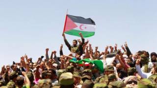Sahara Occidental : l’Algérie et le Maroc satisfaits de la résolution du Conseil de sécurité