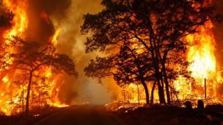 Incendies de forêts : qui a intérêt à entretenir l'écran de fumée ? (I)