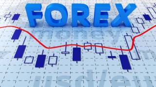 Plusieurs conseils pour aborder le Forex dans de bonnes conditions