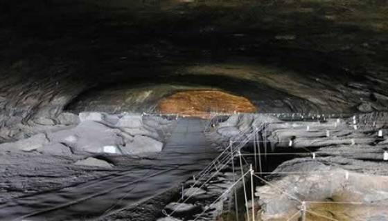 Les ancêtres de l'homme faisaient du feu il y a un million d'années