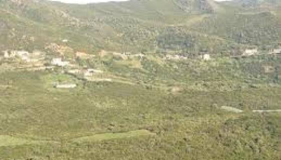 Kabylie maritime : des villages entiers sans téléphonie fixe et en manque d'eau
