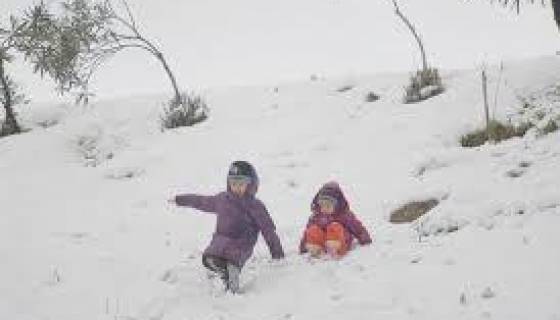 Algérie : temps froid sur les wilayas du centre jusqu’à jeudi