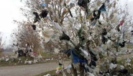 7,7 milliards de sacs en plastique utilisés chaque année en Algérie
