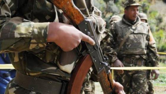 L'ANP annonce la neutralisation de six terroristes à Tipasa