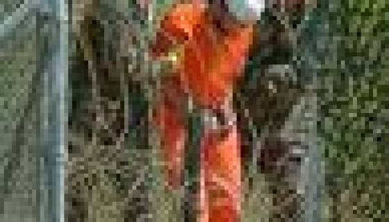 Polémique autour de l’avenir de deux Algériens qui ont quitté Guantanamo depuis 13 jours