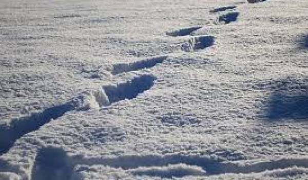 Avec des routes obstruées par la neige, les élèves ne pouvaient rejoindre les écoles.