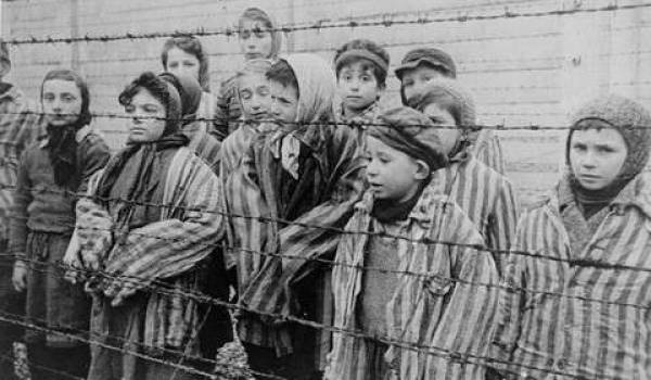 Un touriste repart avec des barbelés d'Auschwitz