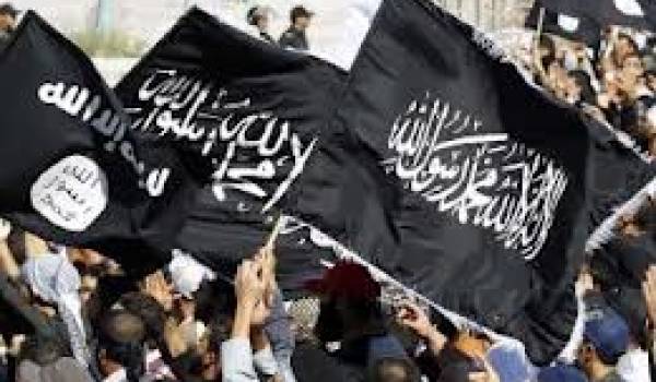 Mêmes drapeaux partout, même idéologie : l'internationale islamiste chère à Al Qaïda.