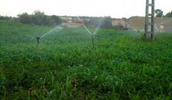 Pour irriguer, les agriculteurs de la région utilisent des bassins pour le stockage des eaux d’irrigation 