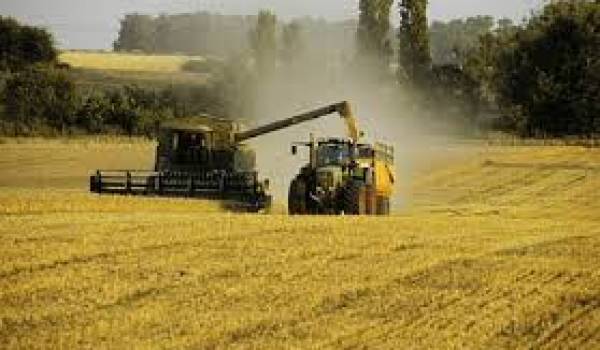 Un accord pour créer une société mixte algéro-française pour la production des semences de céréales et légumineuses a été signé.