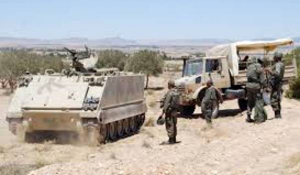 L'armée tunisienne a multiplié les opérations contre les terroristes djihadistes