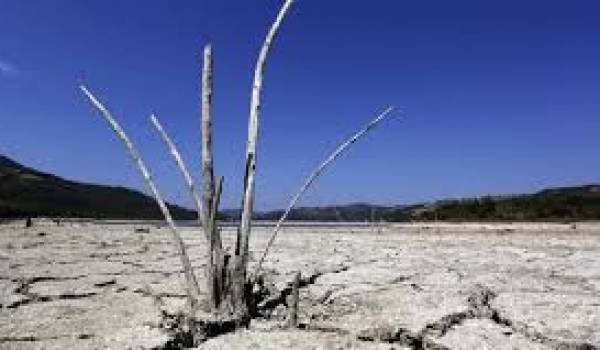 Les changements climatiques pèseront lourd sur l'économie mondiale, souligne une étude.